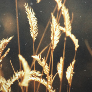 女上位高潮疯狂国产AV
