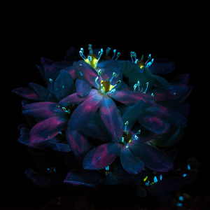 女上位高潮疯狂国产AV
